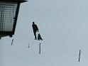 Photo_2010_03_ 028